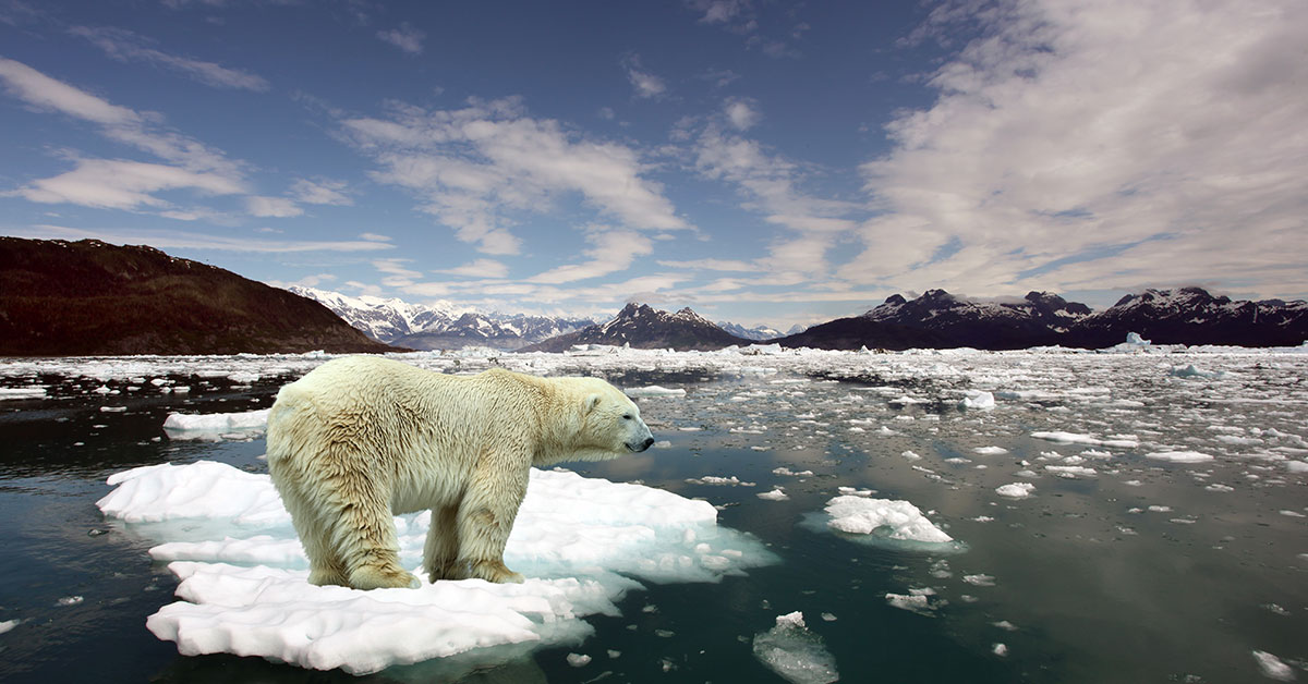 2021, un anno "estremo" per il clima - PCA Consultative Broker