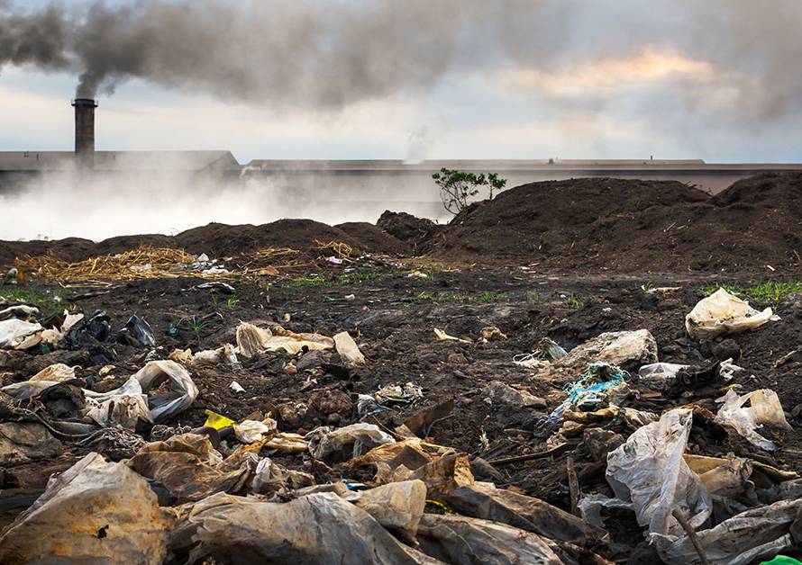 COVID-19 anche l'ambiente è una vittima - PCA Consultative Broker