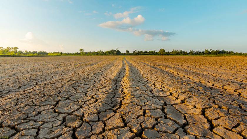Clima e danni catastrofali: l'agricoltura in crisi - PCA Consultative Broker