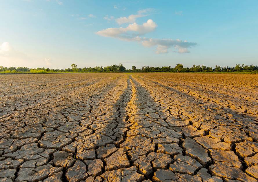 Clima e danni catastrofali: l'agricoltura in crisi - PCA Consultative Broker