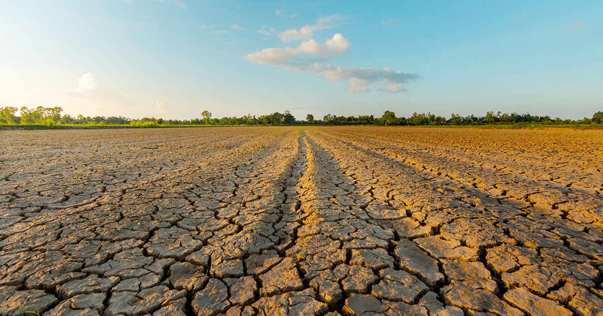 Clima e danni catastrofali: l'agricoltura in crisi - PCA Consultative Broker