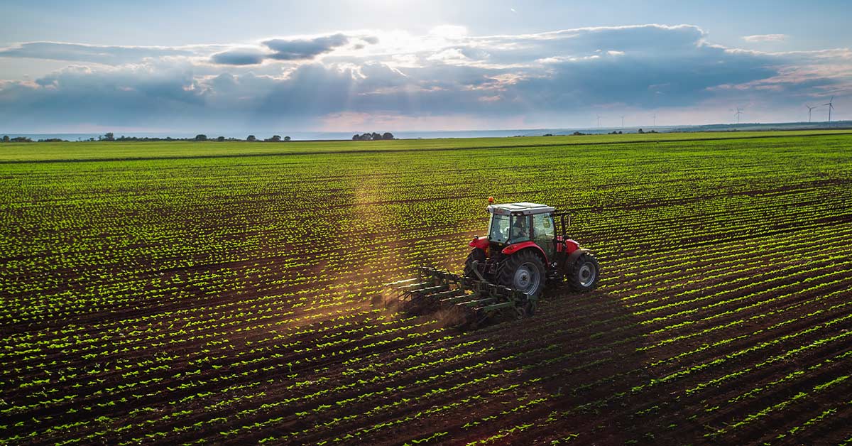 Le assicurazioni per un’agricoltura in piena crisi - PCA Consultative Broker