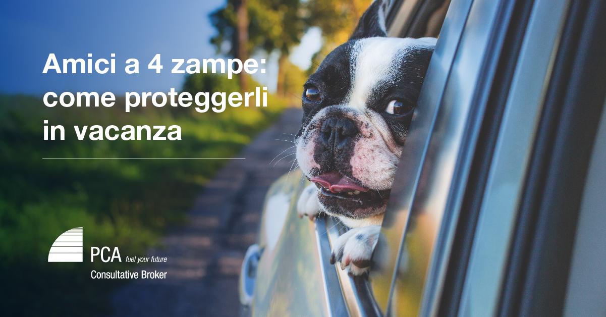 Amici a 4 zampe: come proteggerli in vacanza