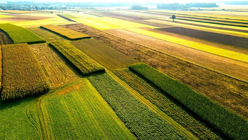 Agricoltura, danni catastrofali e rischio climatico: il ruolo delle assicurazioni - PCA Consultative Broker