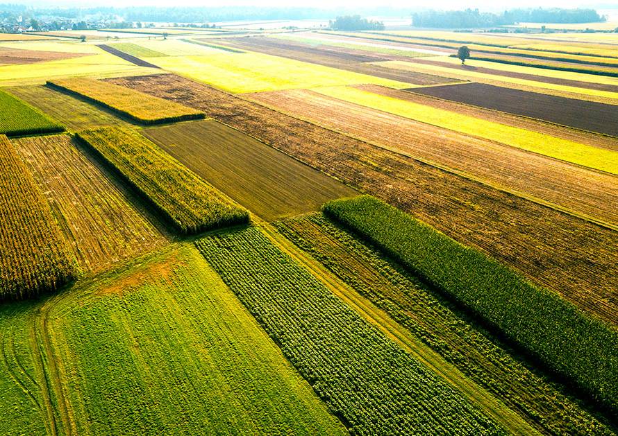 Agricoltura, danni catastrofali e rischio climatico: il ruolo delle assicurazioni - PCA Consultative Broker