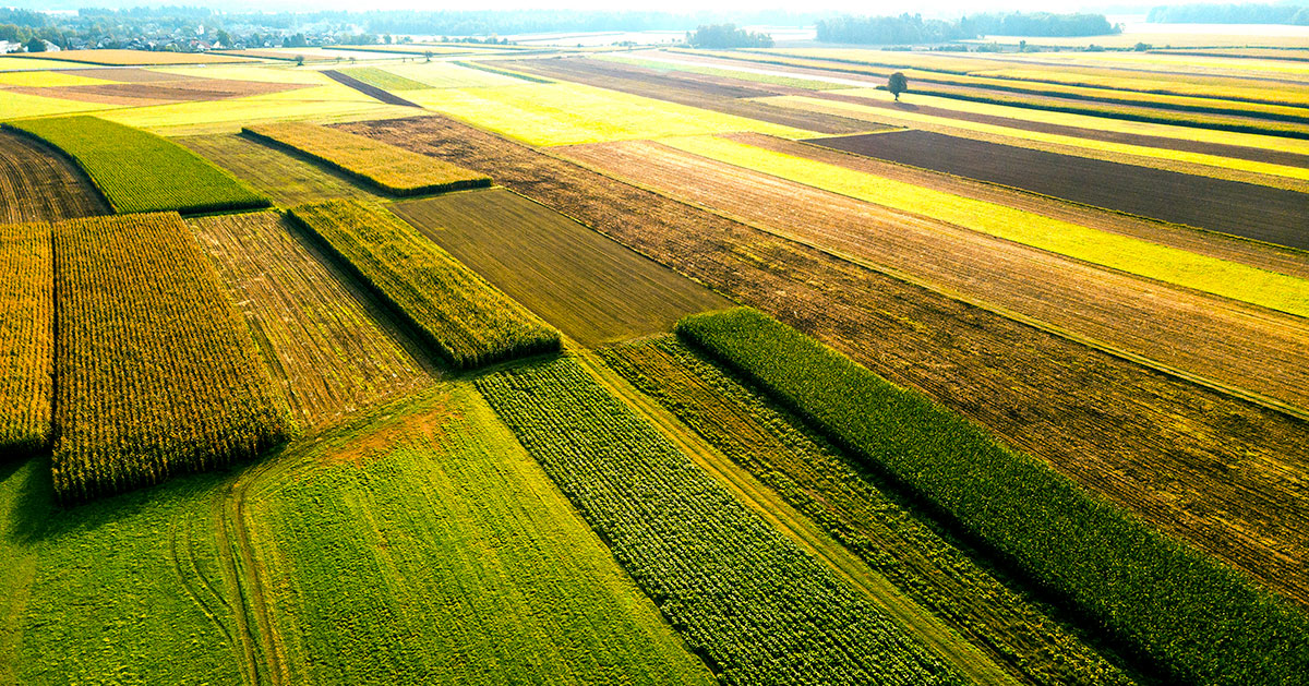 Agricoltura, danni catastrofali e rischio climatico: il ruolo delle assicurazioni - PCA Consultative Broker