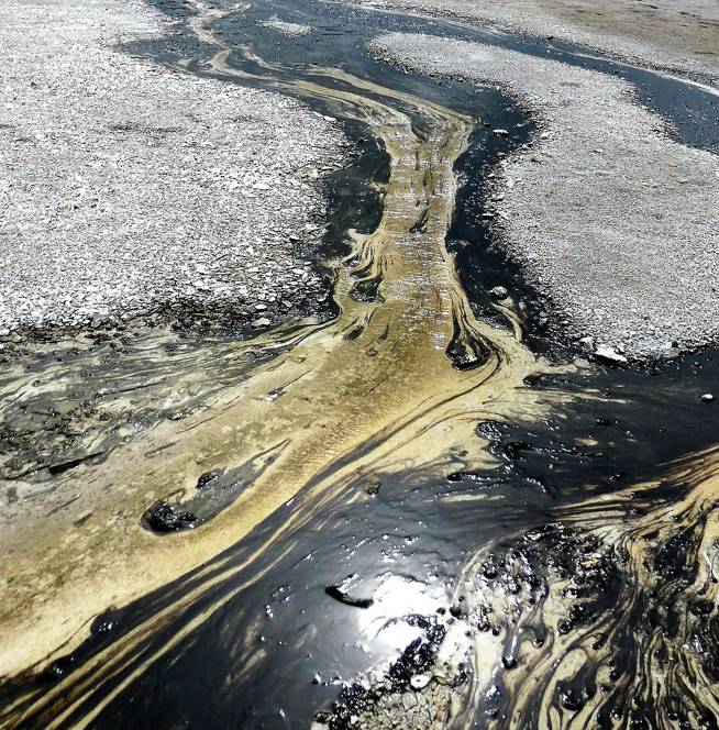 Inquinamento e rischio ambientale