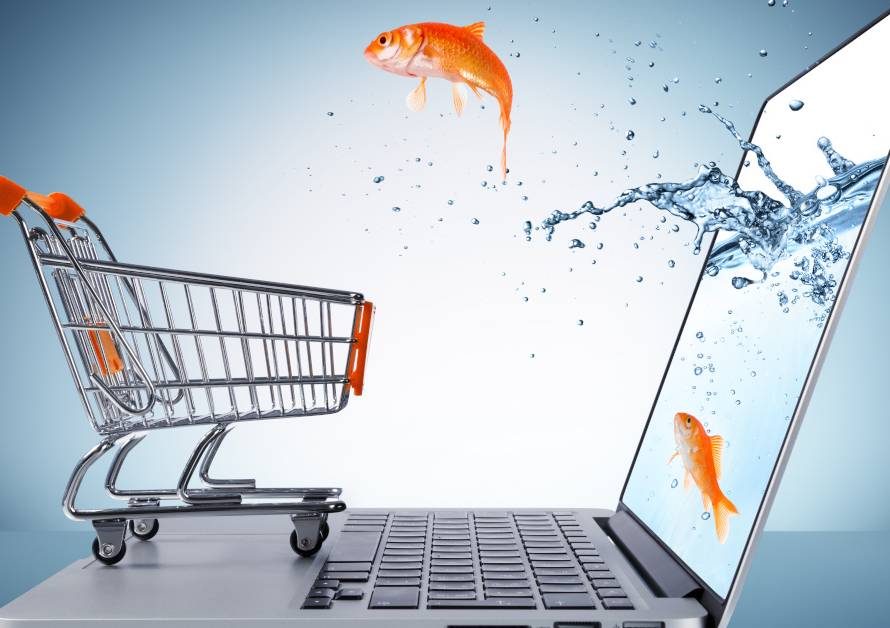 E-commerce: le 4 polizze assicurative per proteggere il business online - PCA Consultative Brokers